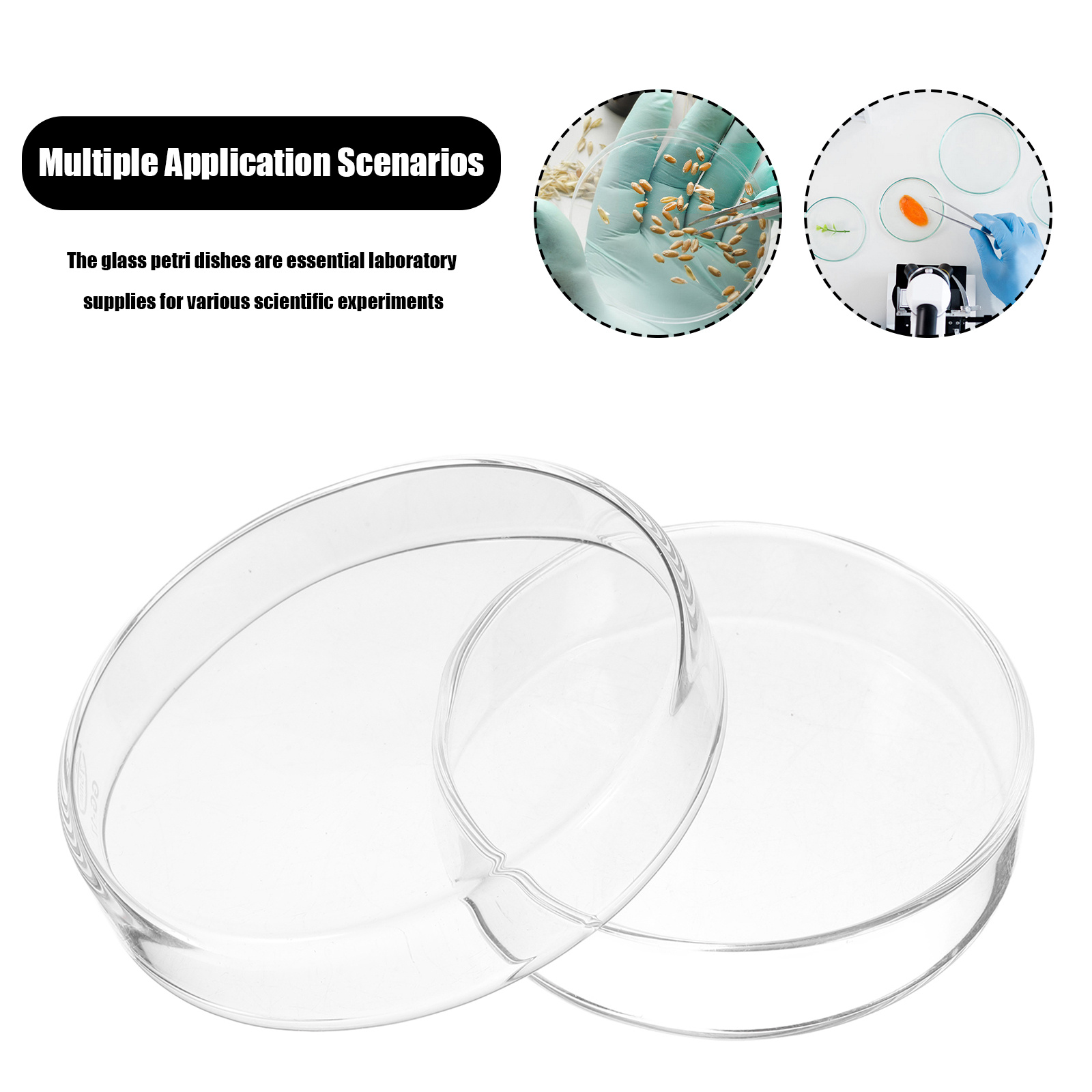 Agar Tissue Culture - 1Set Glass Lab Petri Dish Culture