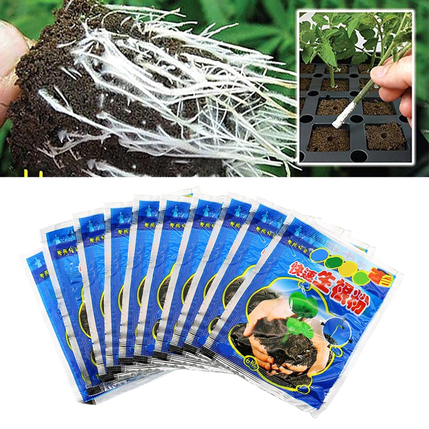 Rooting Hormone Powder - 10 Bag 10g Rooting Powder for