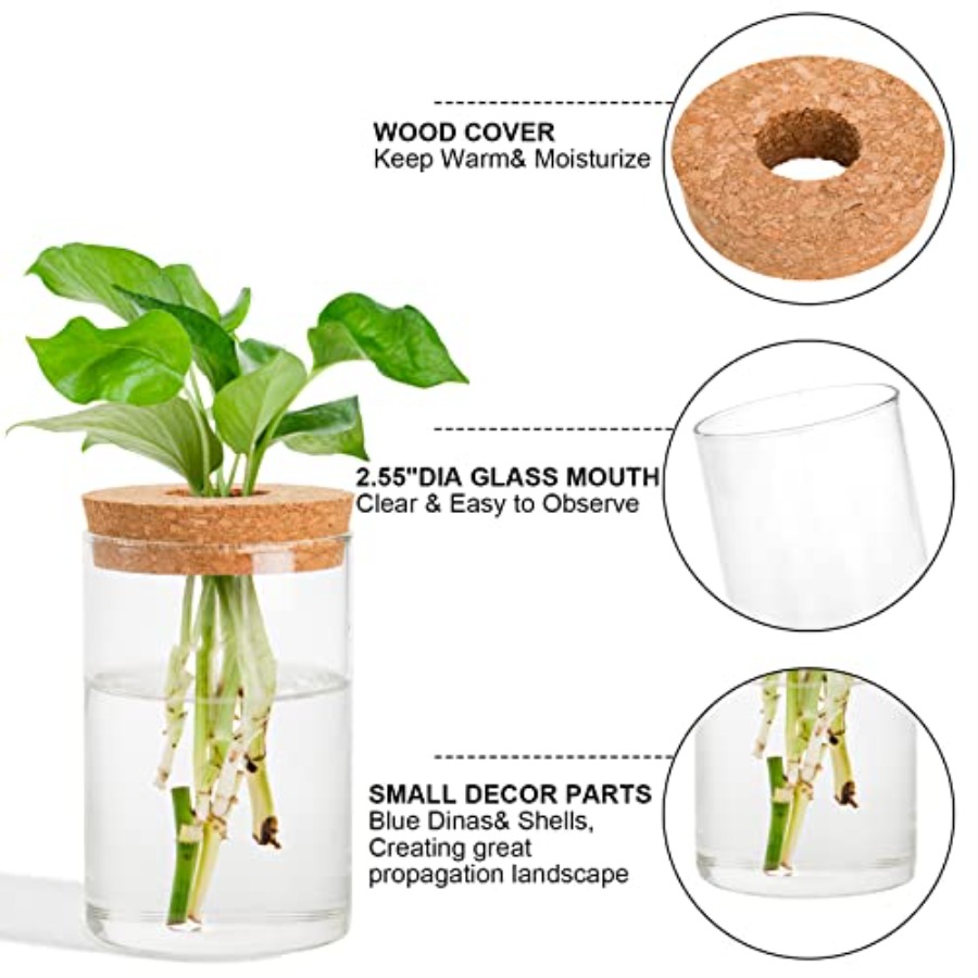 3 Pcs Plant Terrarium Propagat - Propagation Station Vase incelemesi ve fiyatı