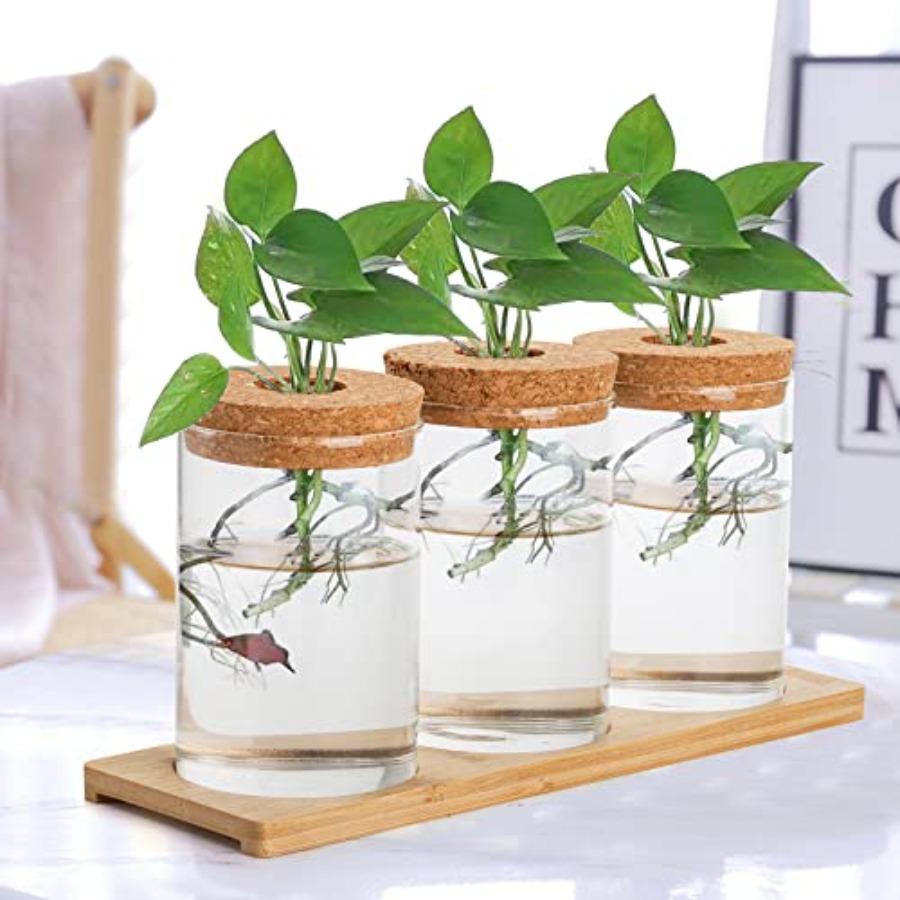 3 Pcs Plant Terrarium Propagat - Propagation Station Vase incelemesi ve fiyatı
