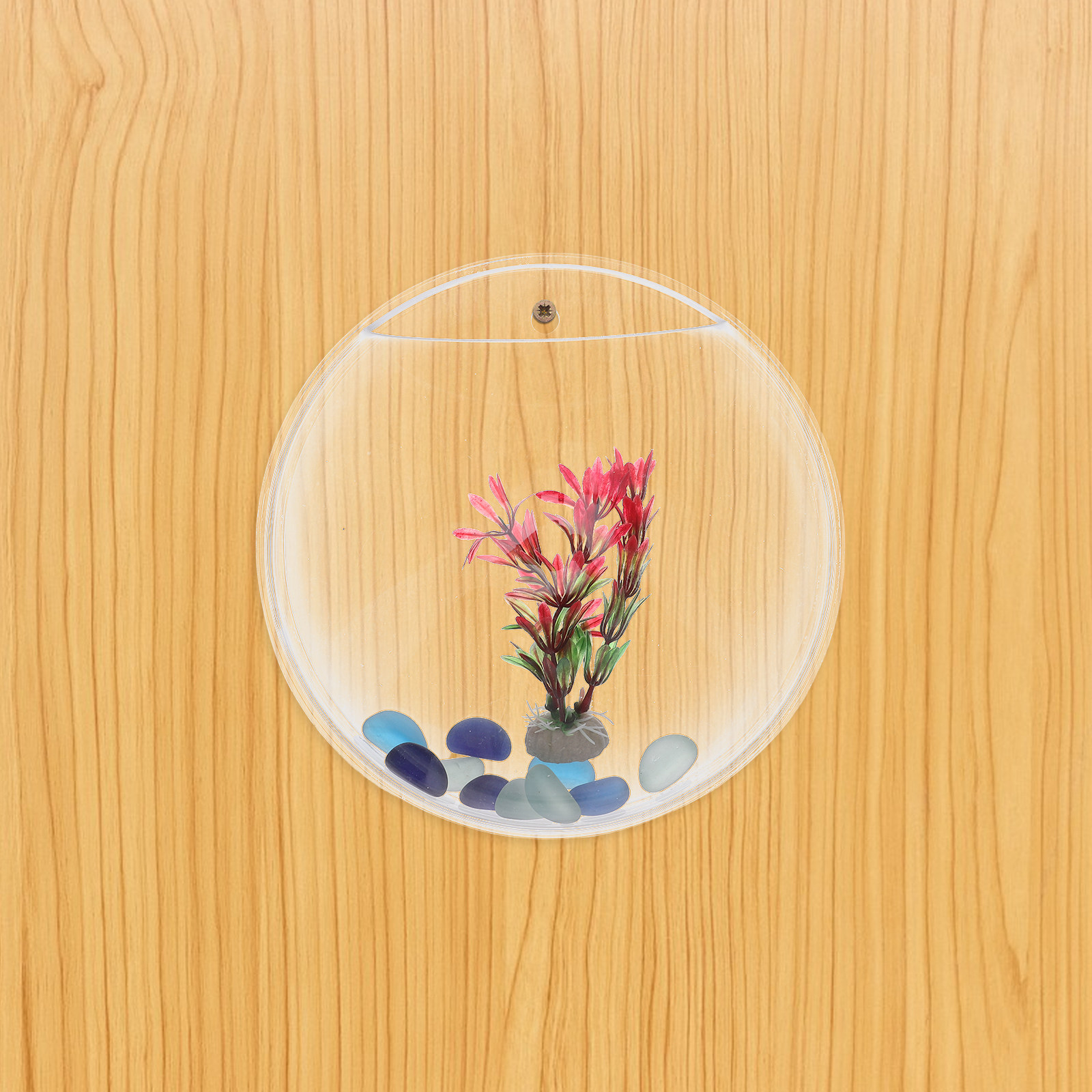 1Set Wall-Mounted Fish Tank 23 - Propagation Station Vase incelemesi ve fiyatı