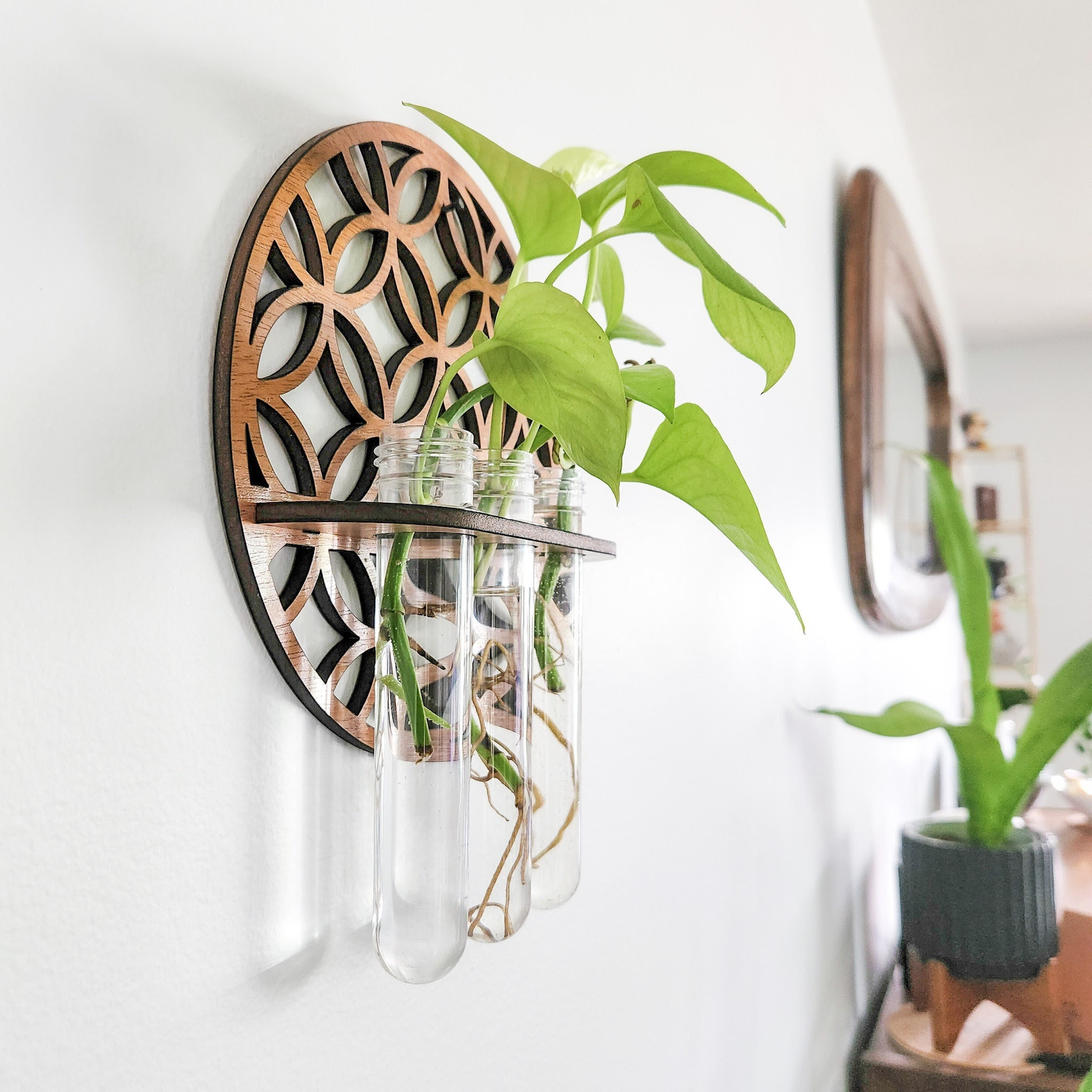 Garden Wall Planters Indoor Wo - Propagation Station Vase incelemesi ve fiyatı