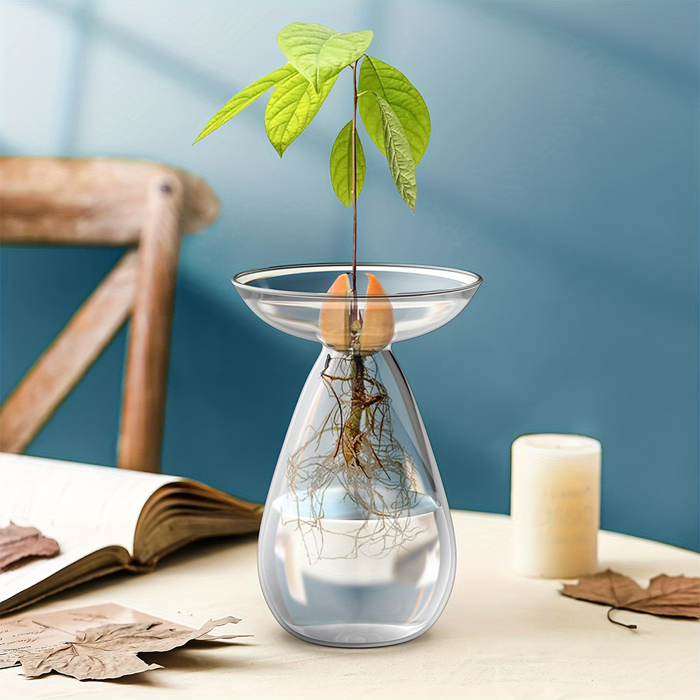 Avocado Seed Starter Hydroponi - Propagation Station Vase incelemesi ve fiyatı