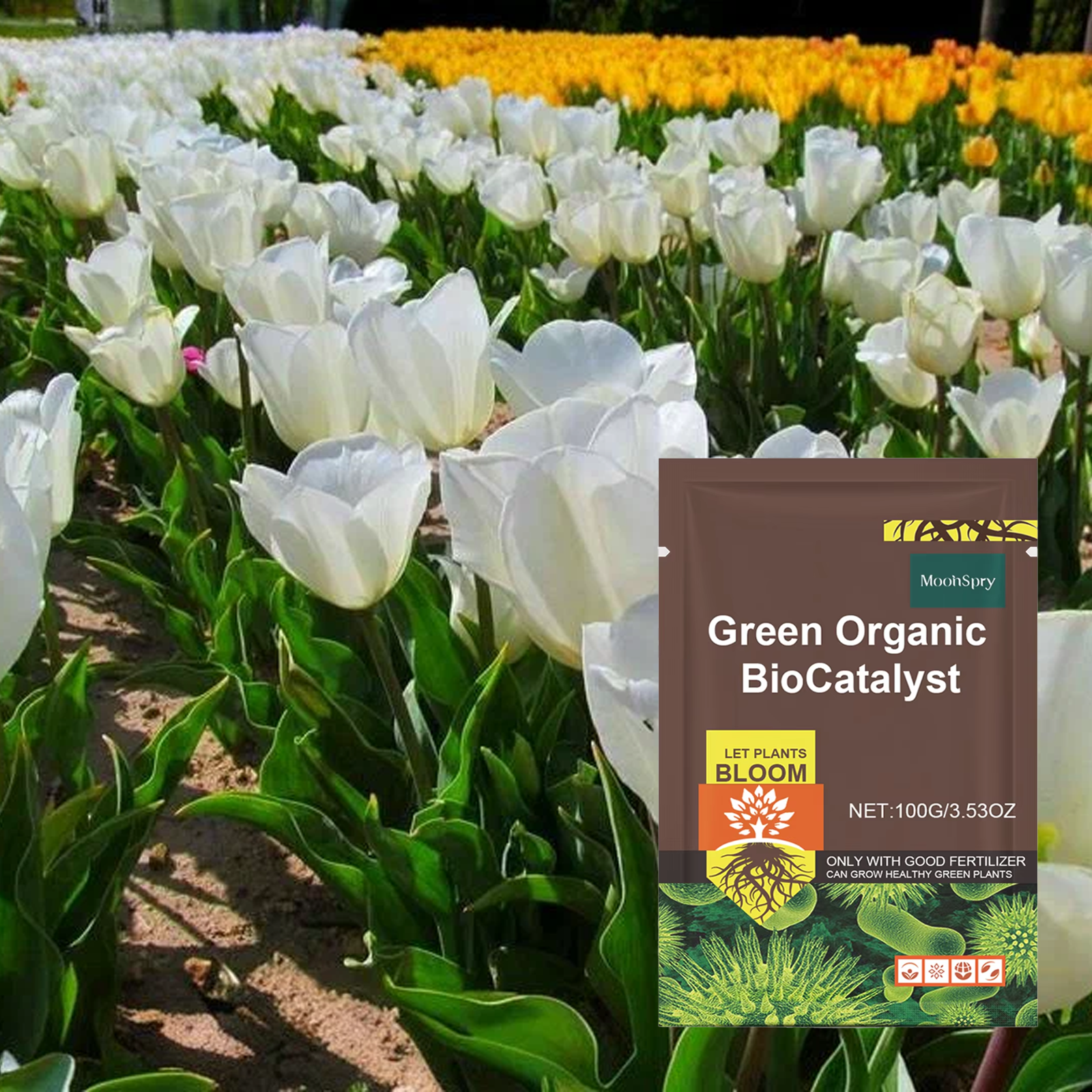 Plant Growth Enhancer Rooting  - Rooting Hormone Powder incelemesi ve fiyatı