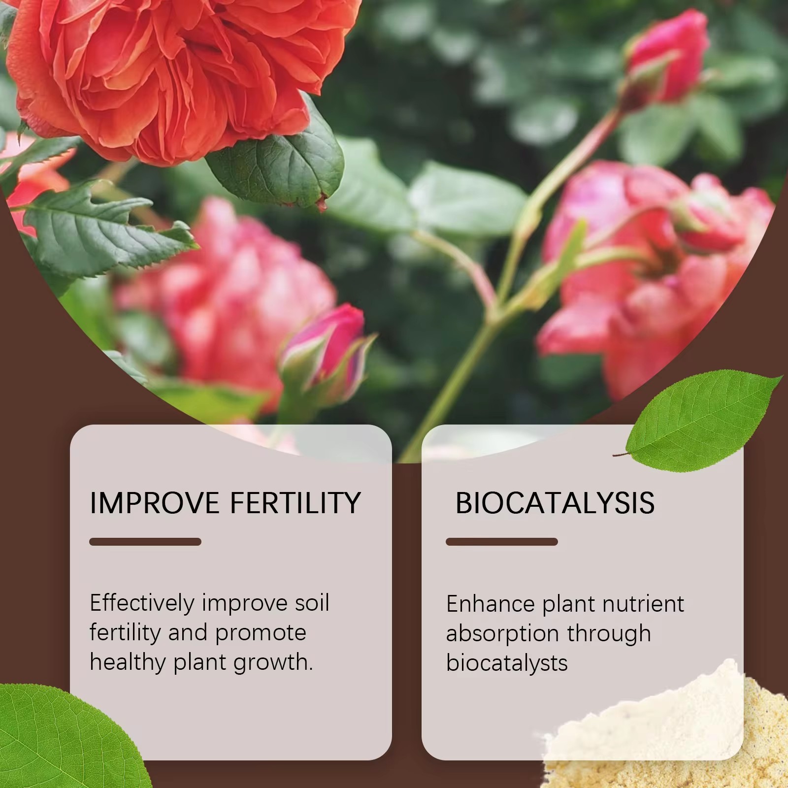Plant Growth Enhancer Rooting  - Rooting Hormone Powder incelemesi ve fiyatı