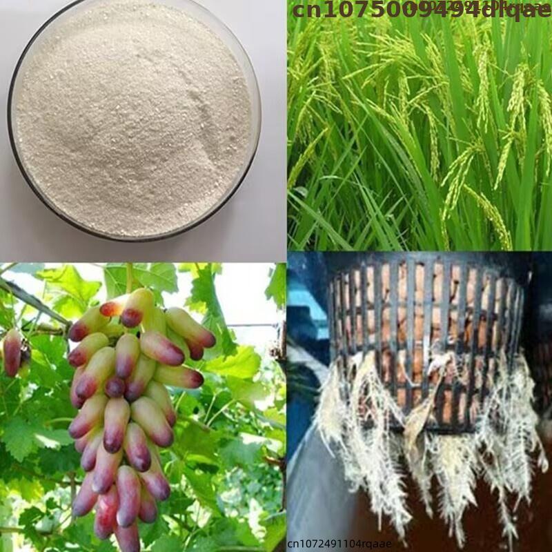 Water Soluble Indole-3-butyric - Rooting Hormone Powder incelemesi ve fiyatı