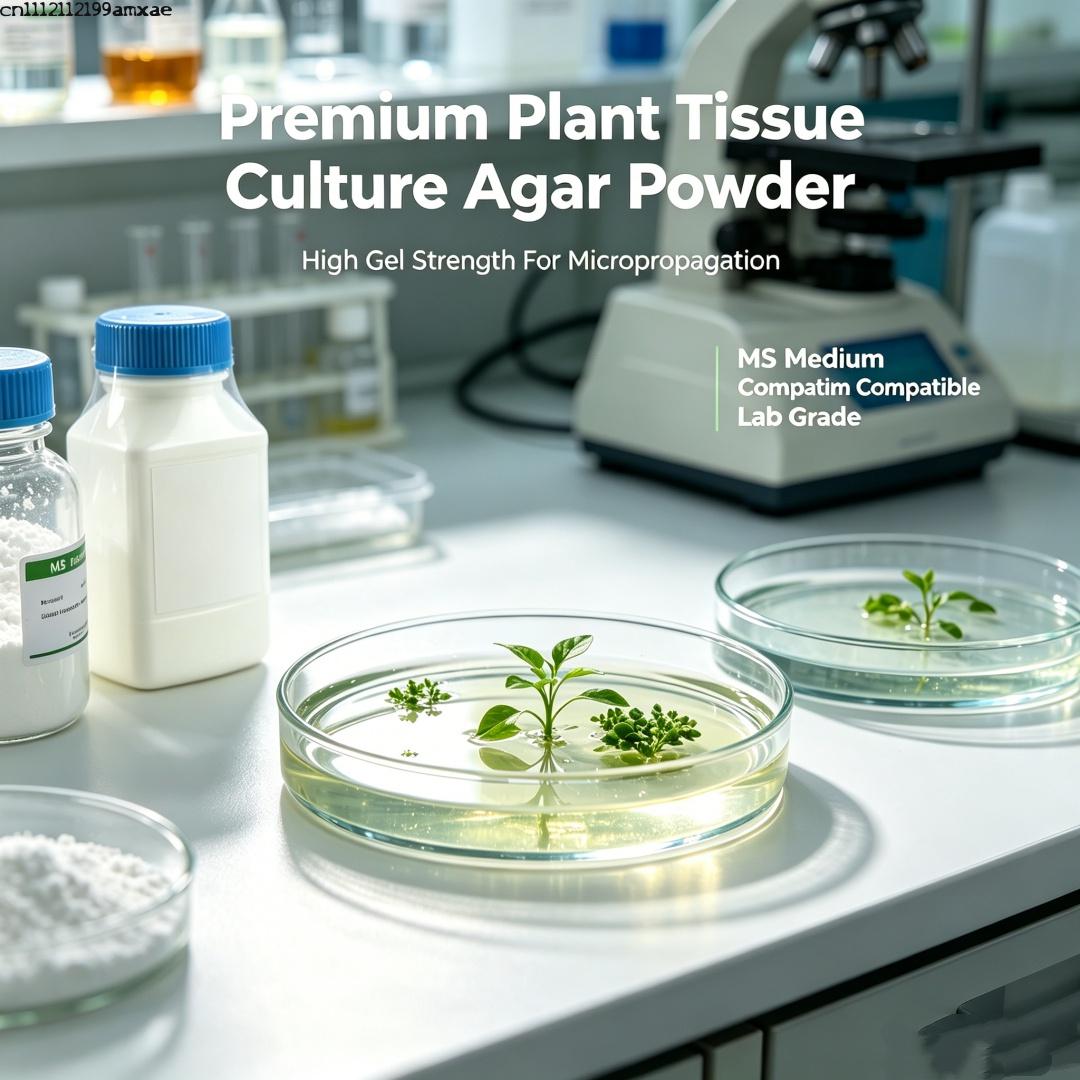Premium Plant Tissue Culture A - Agar Tissue Culture incelemesi ve fiyatı
