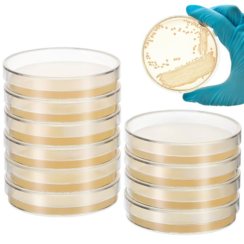 10pcs Agar Plates 7cm Prepoure - Agar Tissue Culture incelemesi ve fiyatı