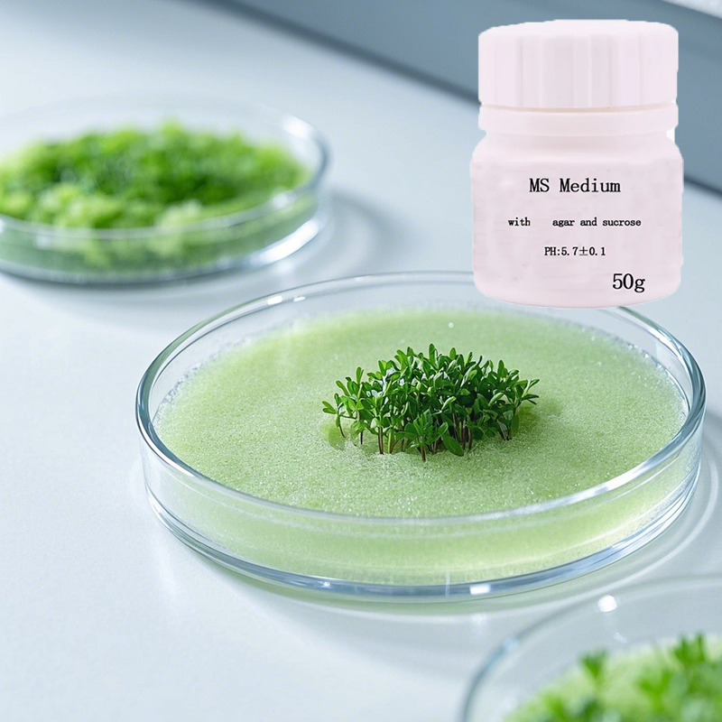 MS medium With Agar And Sucros - Agar Tissue Culture incelemesi ve fiyatı