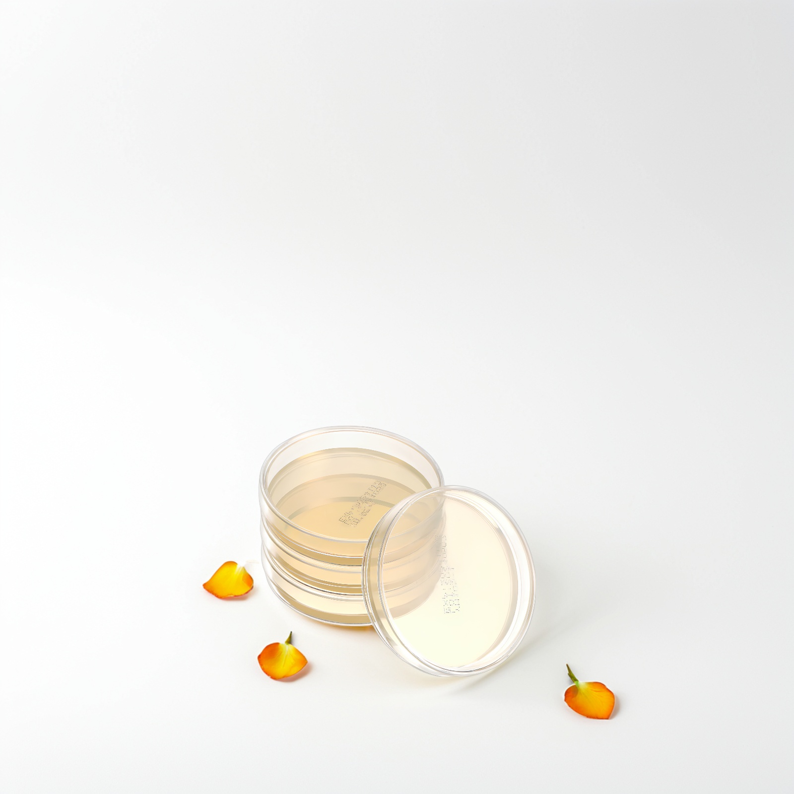 10 Pcs Nutrient Agar Plates 7c - Agar Tissue Culture incelemesi ve fiyatı